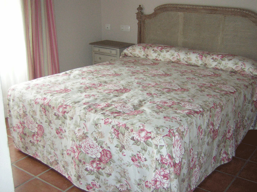 La Casona De Dona Petra Hotel Villarmentero de Campos Ngoại thất bức ảnh